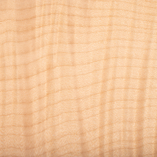 Maple Flame figured wood swatch