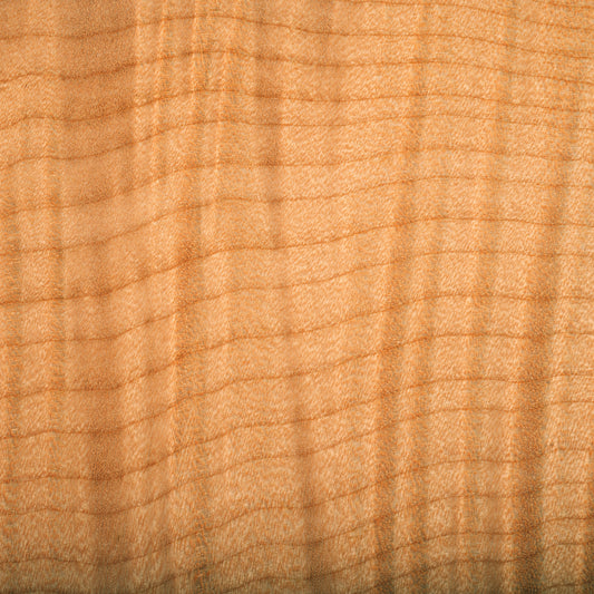Torrefied bookmatched high figure maple wood swatch